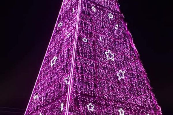 ضمن احتفالات عيد الميلاد المجيد إضاءة أكبر شجرة ميلاد على مستوى الوطن العربي