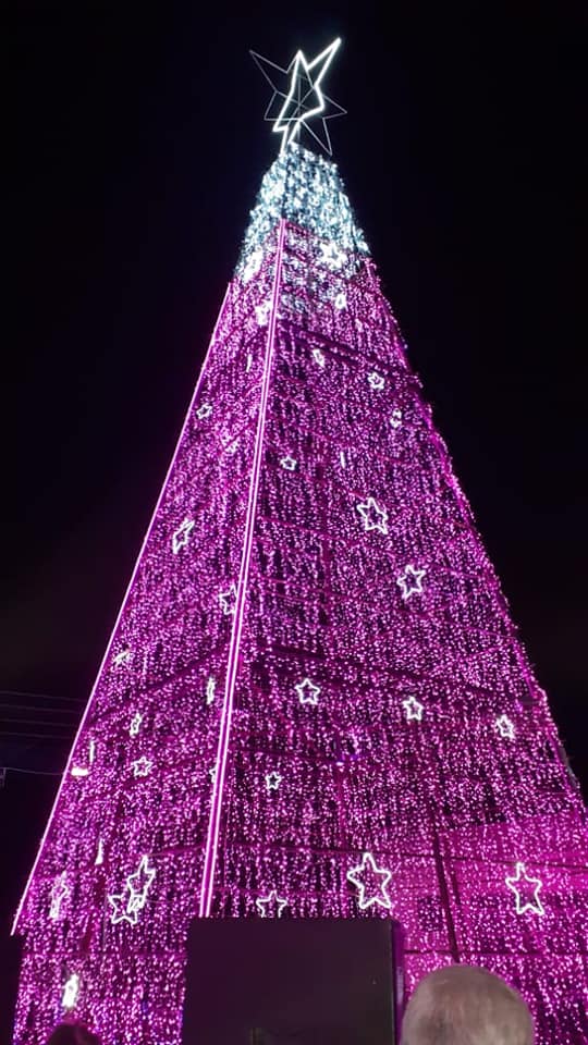 ضمن احتفالات عيد الميلاد المجيد إضاءة أكبر شجرة ميلاد على مستوى الوطن العربي